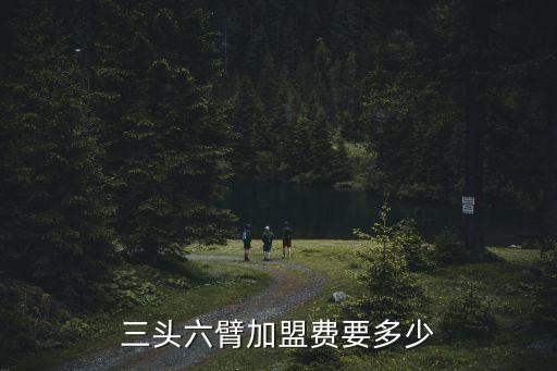 三头六臂加盟费要多少