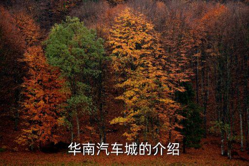 华南汽车城的介绍