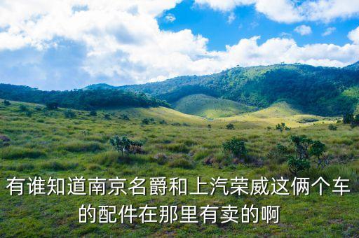 有谁知道南京名爵和上汽荣威这俩个车的配件在那里有卖的啊