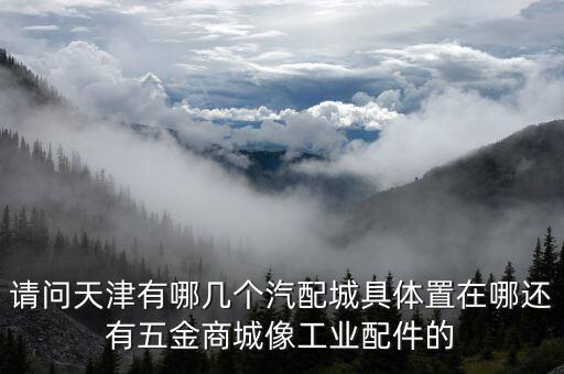 请问天津有哪几个汽配城具体置在哪还有五金商城像工业配件的