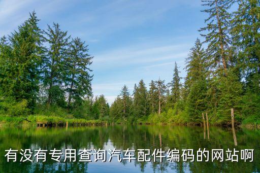 有没有专用查询汽车配件编码的网站啊