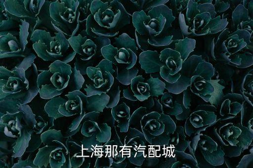 虹梅南路汽配城火灾，上海那有汽配城