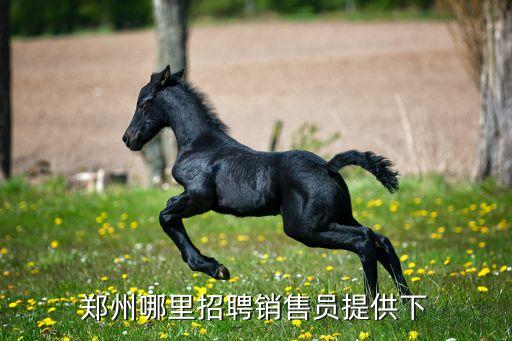 郑州哪里招聘销售员提供下