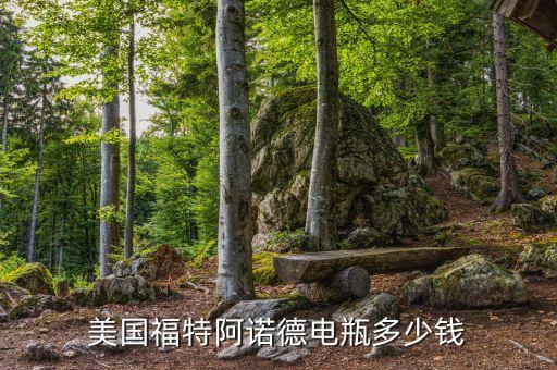 美国福特汽车配件，我想买福特原装配件在哪里能买到真的谢谢