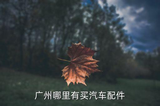 广州哪里有买汽车配件