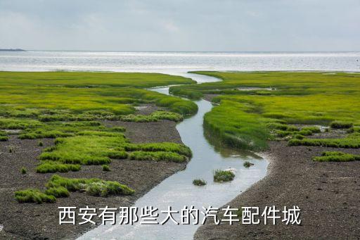 西安有那些大的汽车配件城