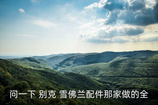 问一下 别克 雪佛兰配件那家做的全