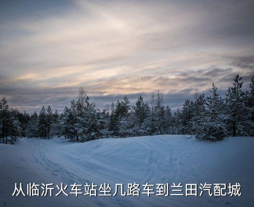 从临沂火车站坐几路车到兰田汽配城