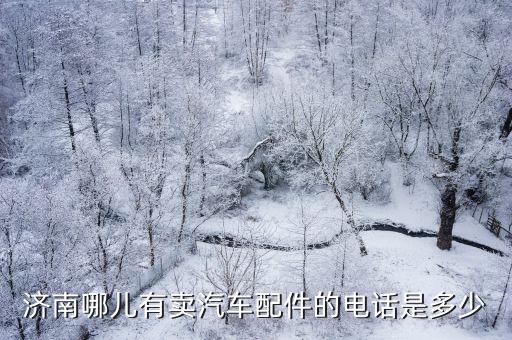 济南汽配城奔驰配件电话，有谁知道汽配城旁边那个卖汽车配件的电话