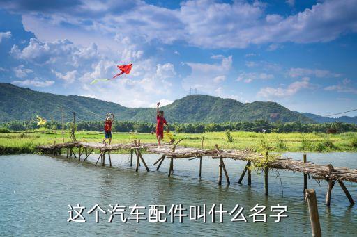 这个汽车配件叫什么名字