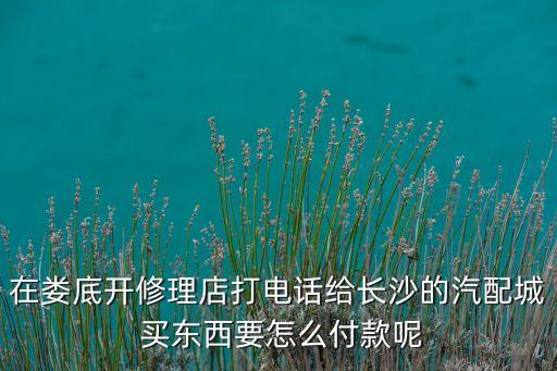 娄底汽车配件城，湖南省娄底市有没有大一点的汽配城或者商家比较集中一点的汽配市场