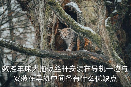 数控车床大拖板丝杆安装在导轨一边与安装在导轨中间各有什么优缺点