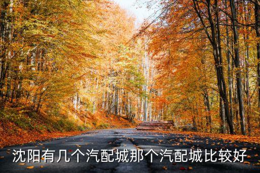 沈阳有几个汽配城那个汽配城比较好