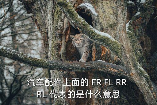 汽车配件上面的 FR FL RR RL 代表的是什么意思