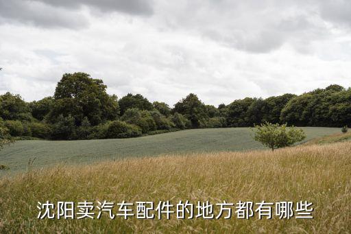沈阳卖汽车配件的地方都有哪些