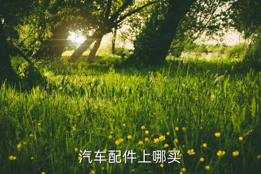 汽车配件上哪买