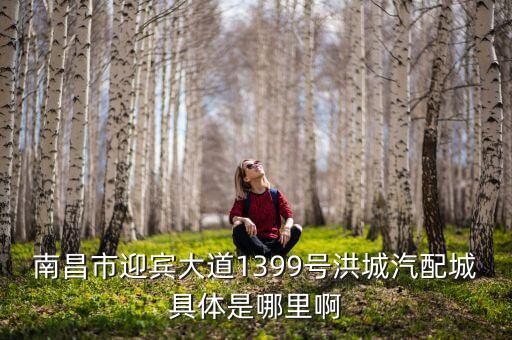 南昌市迎宾大道1399号洪城汽配城具体是哪里啊
