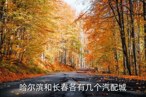 哈尔滨和长春各有几个汽配城