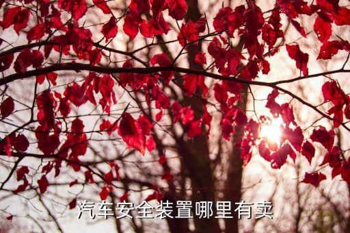汽车安全装置哪里有卖