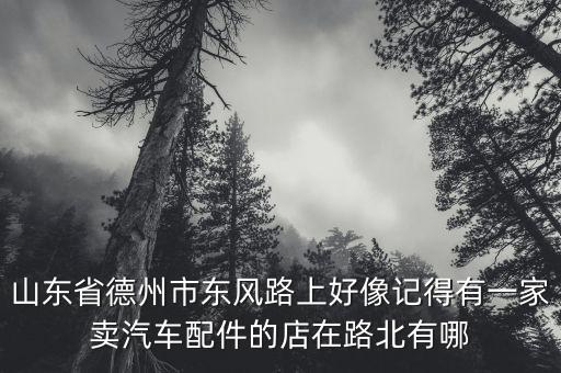 德州汽配城力帆配件，力帆320配件大全