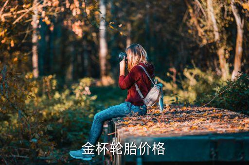 金杯汽车配件价格表，金杯汽车保险杠价格表
