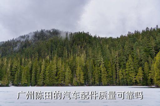 广州陈田的汽车配件质量可靠吗