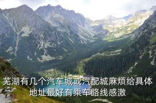 芜湖有几个汽车城或汽配城麻烦给具体地址最好有乘车路线感激