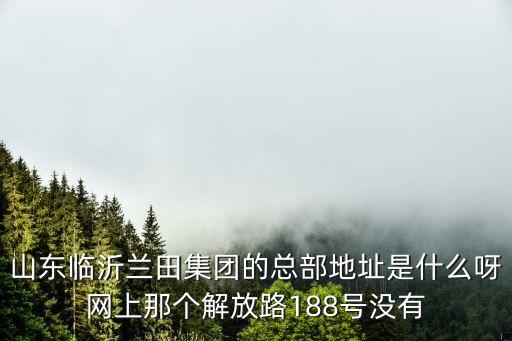 山东临沂兰田集团的总部地址是什么呀网上那个解放路188号没有