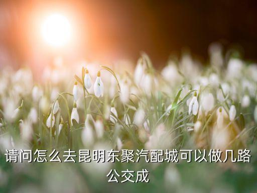 昆明东聚汽配城号码，请问怎么去昆明东聚汽配城可以做几路公交成