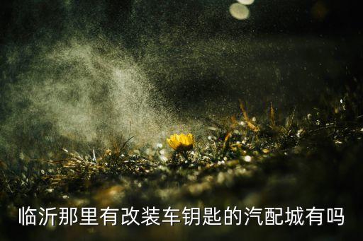 临沂那里有改装车钥匙的汽配城有吗
