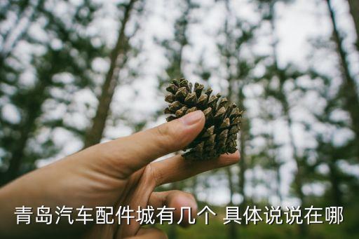 青岛汽车配件城有几个 具体说说在哪