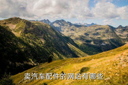 卖汽车配件的网站有哪些