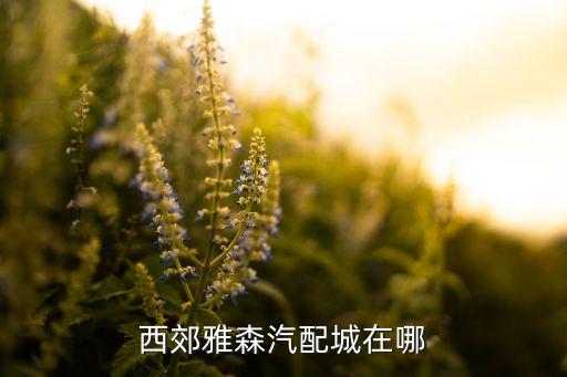 西郊汽配，北京西郊汽配搬哪去了了