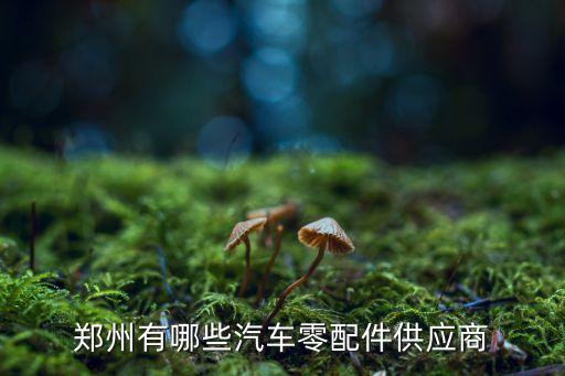 郑州有哪些汽车零配件供应商