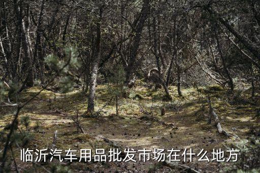 临沂汽车用品批发市场在什么地方