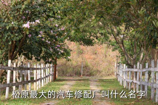 松原最大的汽车修配厂叫什么名字