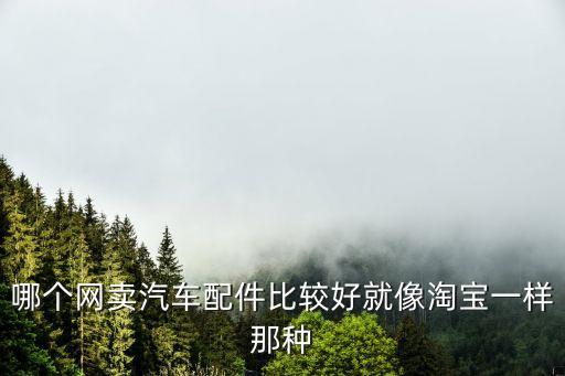 哪个网卖汽车配件比较好就像淘宝一样那种