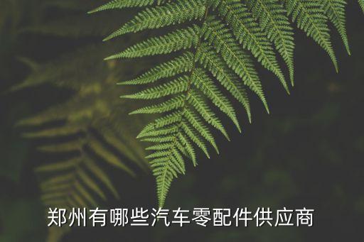 郑州有哪些汽车零配件供应商