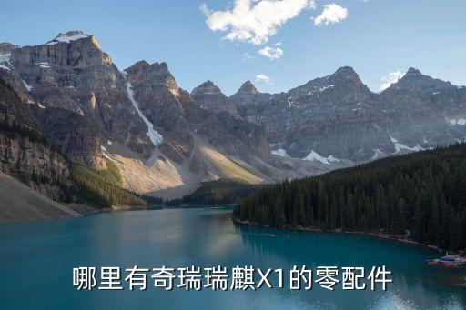 哪里有奇瑞瑞麒X1的零配件