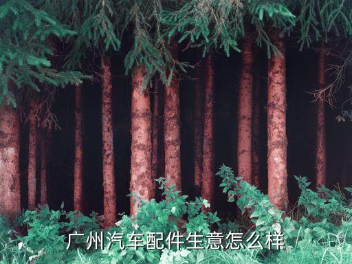 广州金贵村汽配城，广州汽车配件生意怎么样