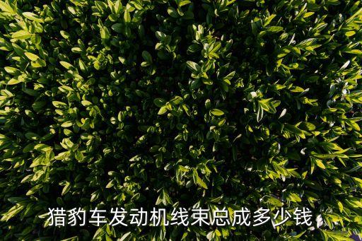 猎豹车发动机线束总成多少钱