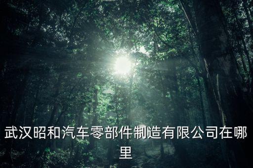 武汉昭和汽车零部件制造有限公司在哪里