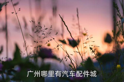广州汽车配件 逛市场销售，广州哪里有汽车配件城