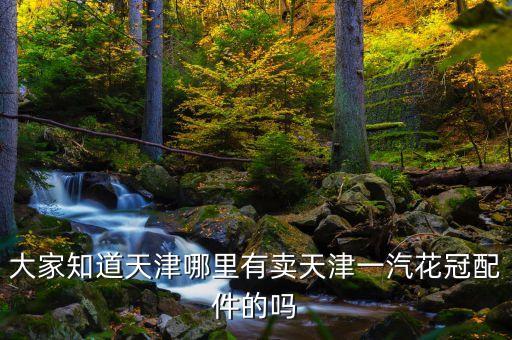 大家知道天津哪里有卖天津一汽花冠配件的吗