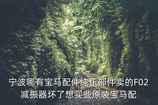 宁波哪有宝马配件纯正部件卖的F02减振器坏了想买些原装宝马配