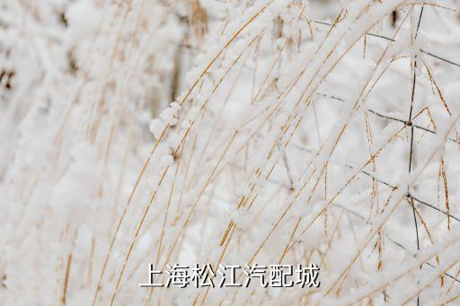 上海松江汽配城