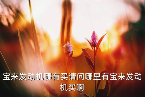 宝来发动机哪有买请问哪里有宝来发动机买啊