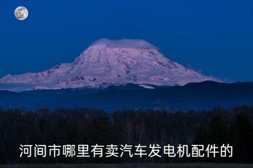 河间市哪里有卖汽车发电机配件的