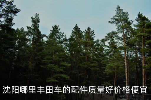 沈阳哪里丰田车的配件质量好价格便宜