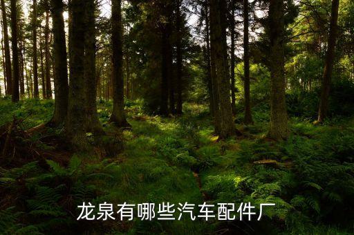 龙泉有哪些汽车配件厂
